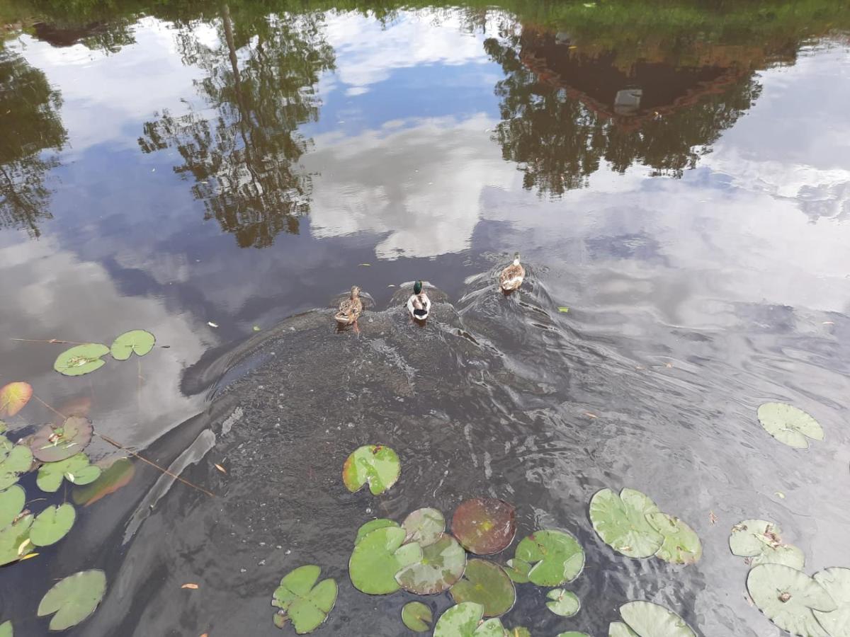 Waterhuis Friesland Oudwoude Экстерьер фото